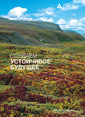  Отчет об устойчивом развитиии 2015 